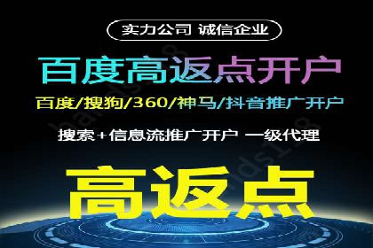 百度SEM推广案例解析：成功秘诀大公开